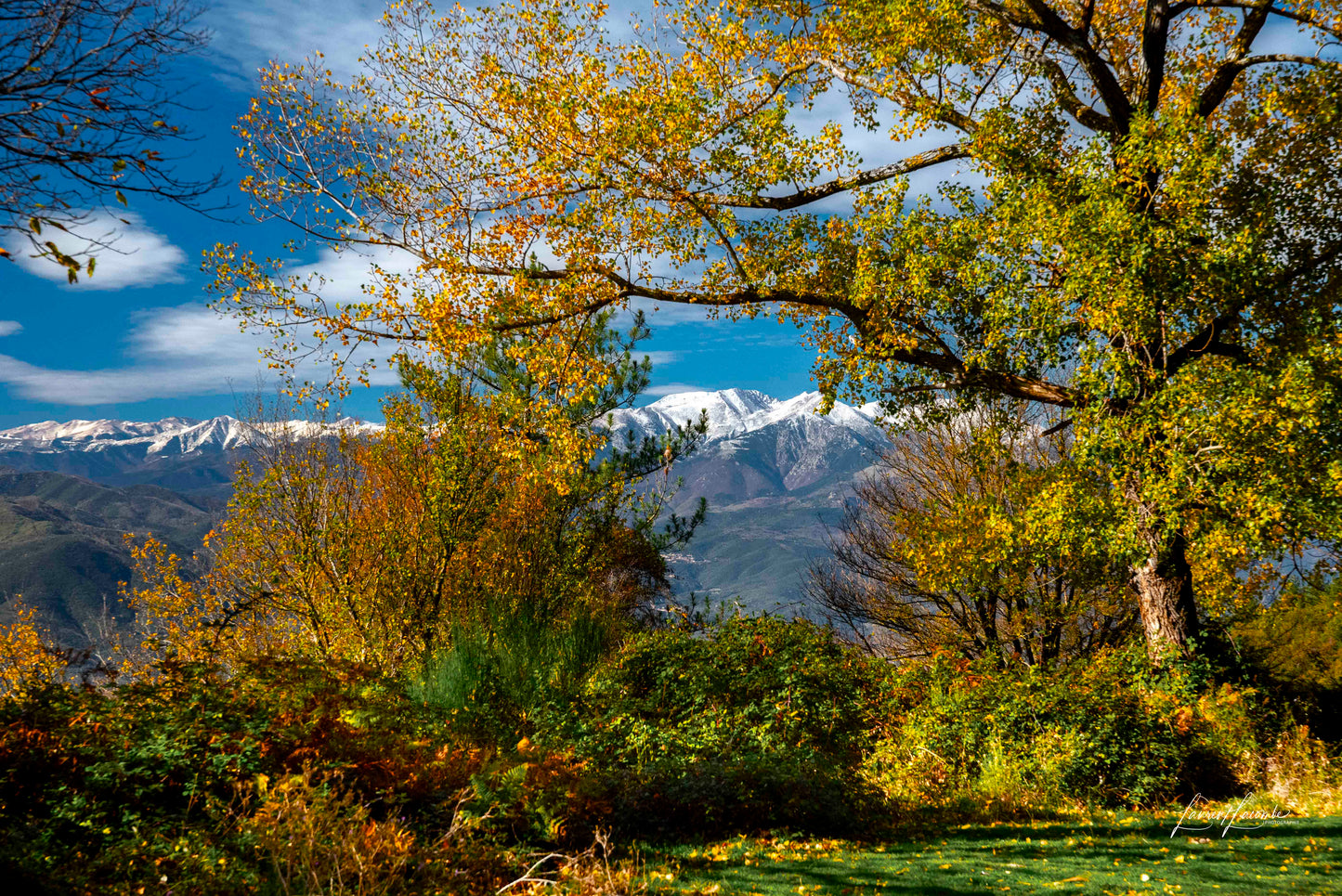 Couleurq d'automne