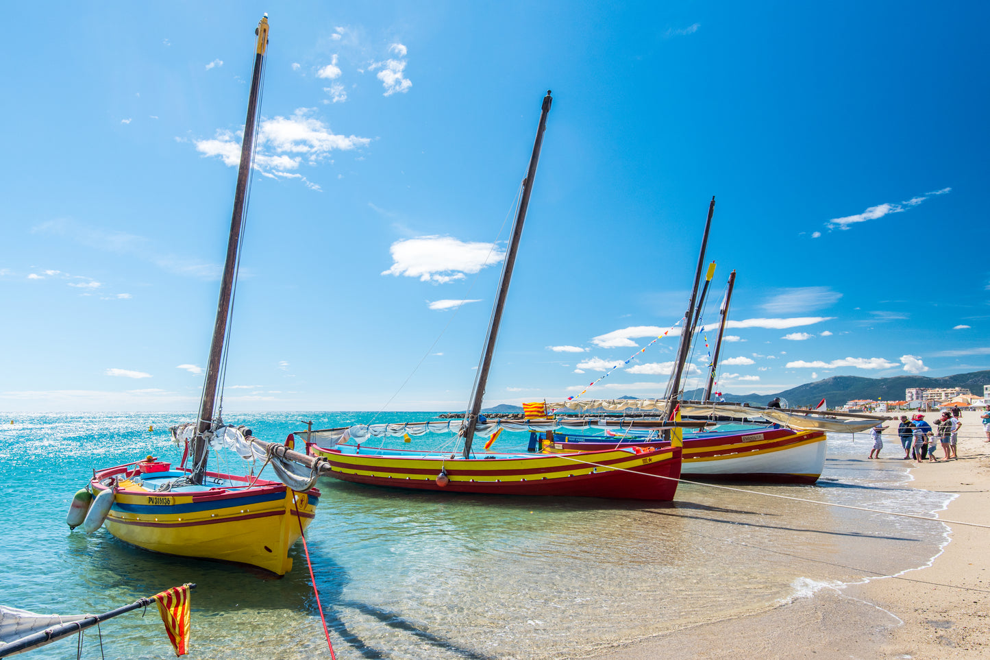 Barques Catalanes a St Cyprien